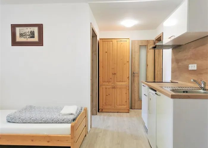 Liskuv Mlyn 게스트하우스 Milesov (Pribram)