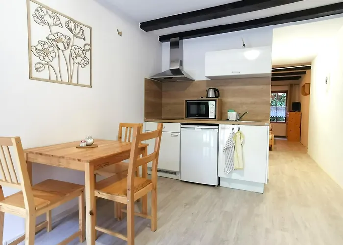 게스트하우스 Liskuv Mlyn